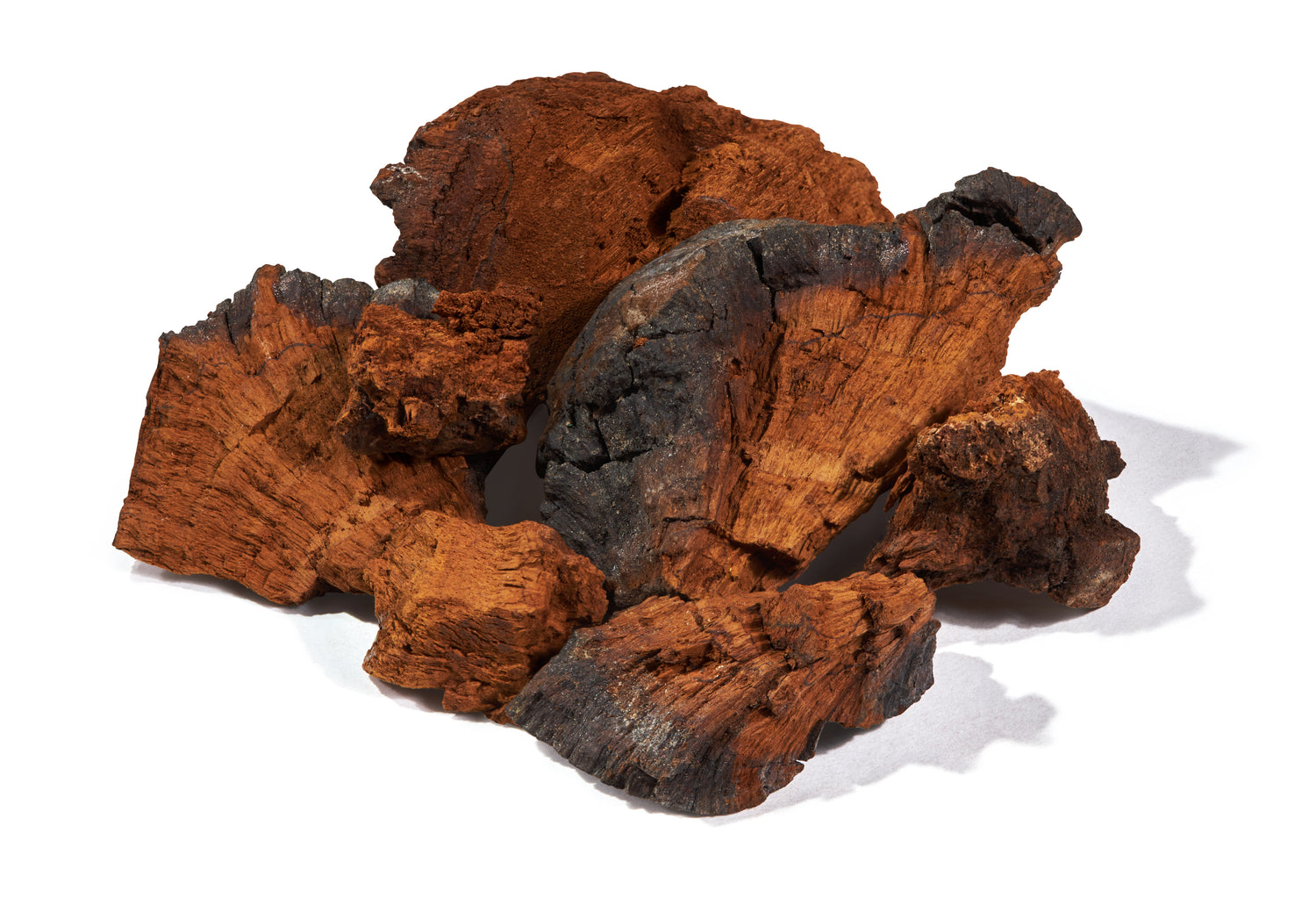 Chaga Mushroom